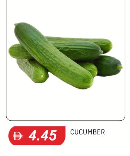 Cucumber available at سوق طلال in الإمارات العربية المتحدة , الامارات - دبي