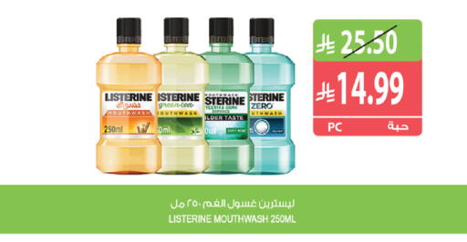 Mint available at Farm  in KSA, Saudi Arabia, Saudi - Al Khobar