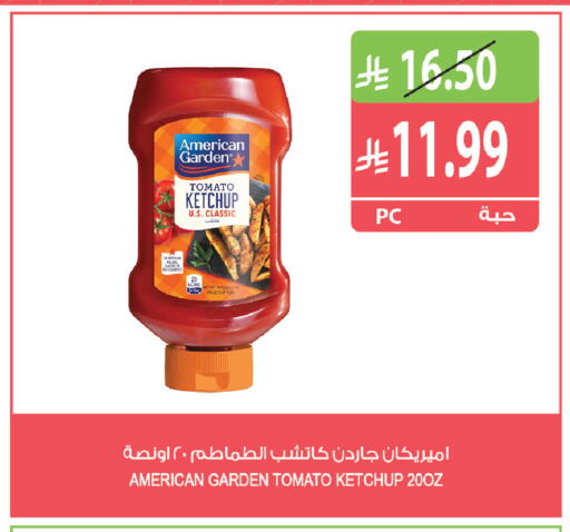 Tomato available at Farm  in KSA, Saudi Arabia, Saudi - Al Khobar