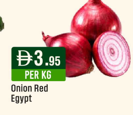 Onion from Egypt available at West Zone Supermarket in UAE - Dubai