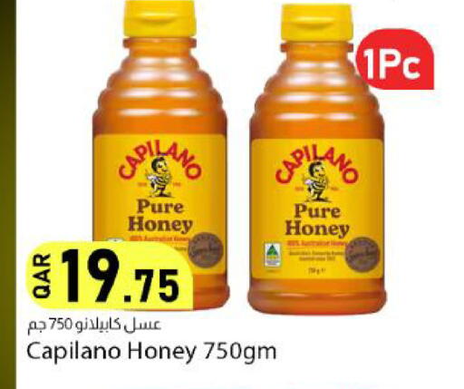 available at Dana Market in Qatar - Al-Shahaniya