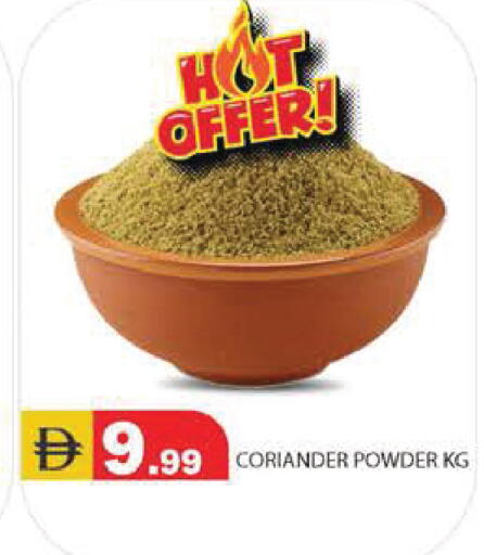 Coriander available at سنابل بني ياس in الإمارات العربية المتحدة , الامارات - رَأْس ٱلْخَيْمَة