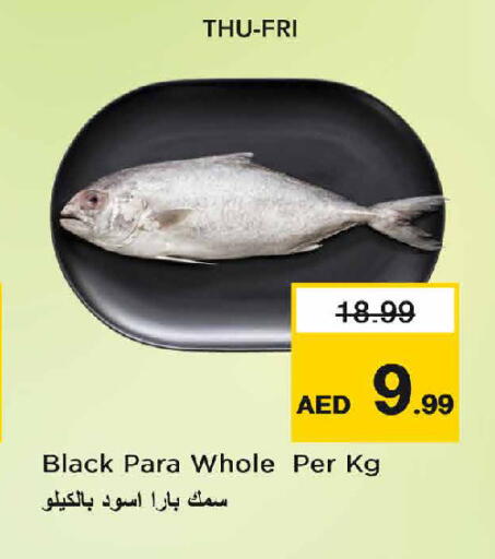 available at نستو هايبرماركت in الإمارات العربية المتحدة , الامارات - دبي