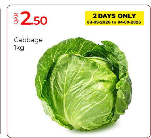Cabbage available at جي-ماكس هايبرماركت in قطر - الدوحة
