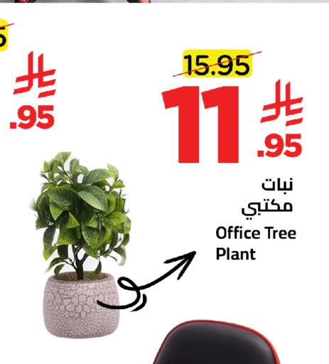 available at Wahj Mart in KSA, Saudi Arabia, Saudi - Jeddah