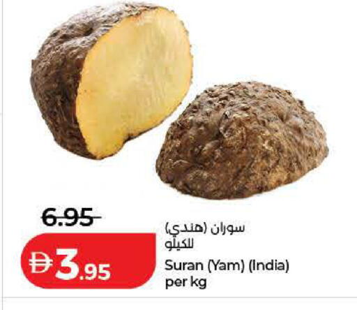 from India available at لولو هايبرماركت in الإمارات العربية المتحدة , الامارات - رَأْس ٱلْخَيْمَة