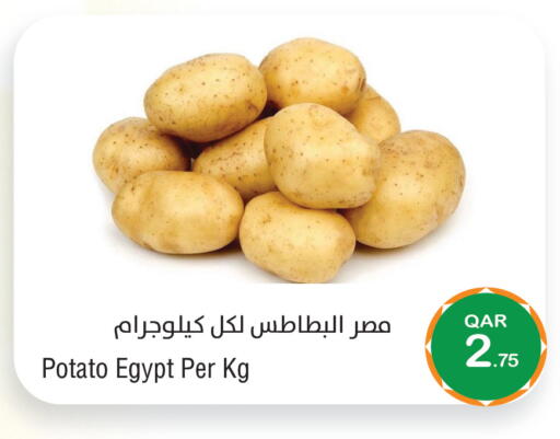 Potato from Egypt available at ميغا مارت in قطر - الشحانية