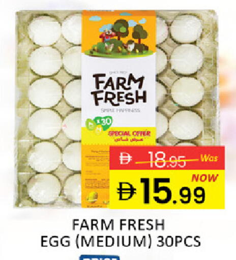 Mango available at Mango Hypermarket LLC in UAE - Ras al Khaimah