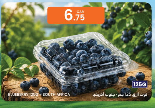 Blueberry BlueBerry from South Africa available at Al Baladi Al Yawm in Qatar - Doha