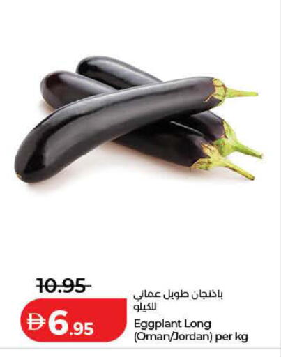 Eggplant from Oman Jordan available at لولو هايبرماركت in الإمارات العربية المتحدة , الامارات - رَأْس ٱلْخَيْمَة