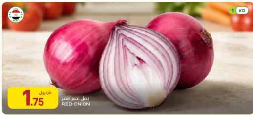 Onion from Egypt available at شركة الميرة للمواد الاستهلاكية in قطر - أم صلال