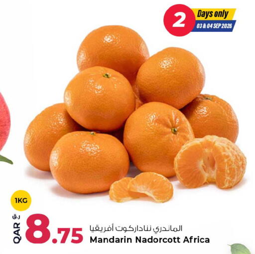 Mandarin available at Rawabi Hypermarket in Qatar - Al Shamal