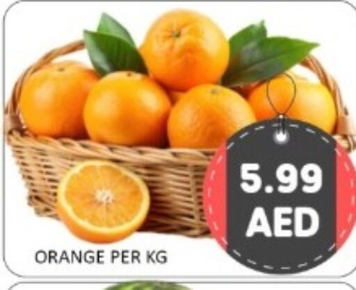 Orange available at GREEN GIFT DEPARTMENT STORE in UAE - Abu Dhabi