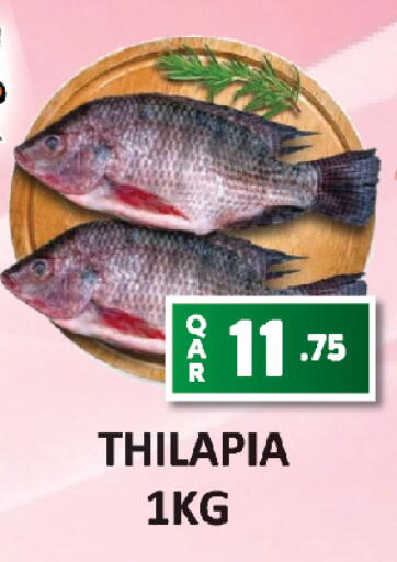 available at AL HABARI FOOD STUFF (FS2) in Qatar - Doha