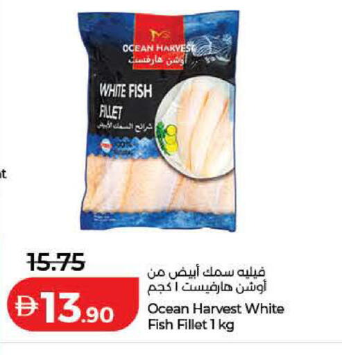 available at Lulu Hypermarket in UAE - Ras al Khaimah