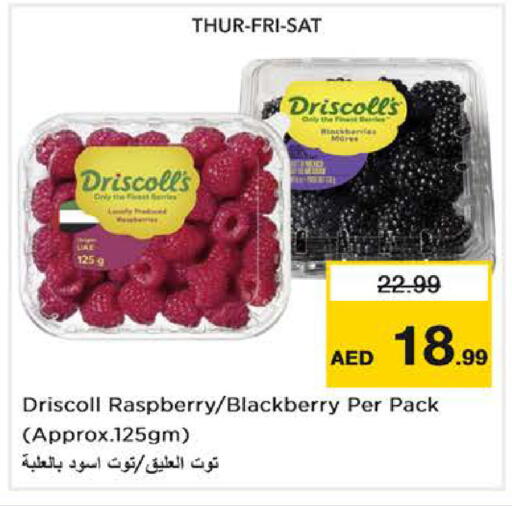 Raspberry Blackberry available at نستو هايبرماركت in الإمارات العربية المتحدة , الامارات - دبي