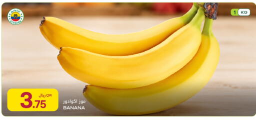 Banana from Ecuador available at Al Meera in Qatar - Doha