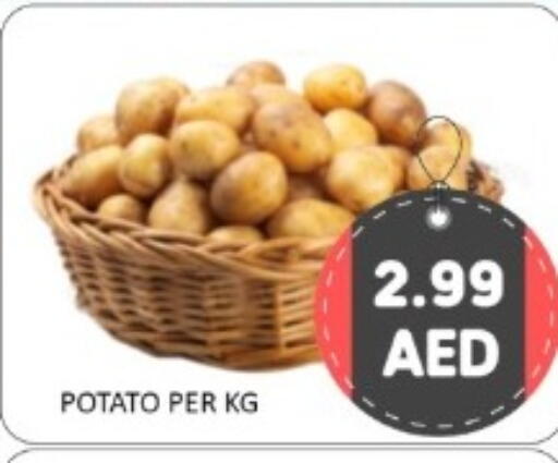 Potato available at GREEN GIFT DEPARTMENT STORE in UAE - Abu Dhabi