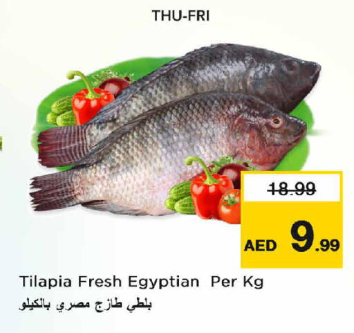 available at نستو هايبرماركت in الإمارات العربية المتحدة , الامارات - دبي