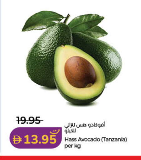 Avocado from Tanzania available at Lulu Hypermarket in UAE - Dubai