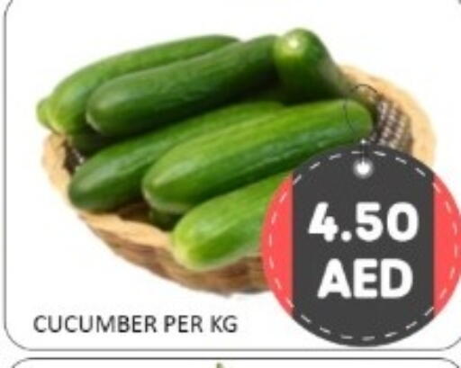Cucumber available at GREEN GIFT DEPARTMENT STORE in UAE - Abu Dhabi