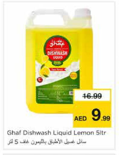 Lemon available at نستو هايبرماركت in الإمارات العربية المتحدة , الامارات - دبي