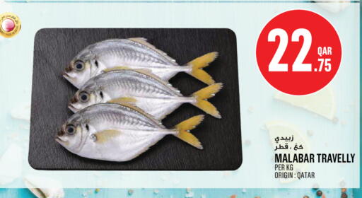available at مونوبريكس in قطر - الشمال