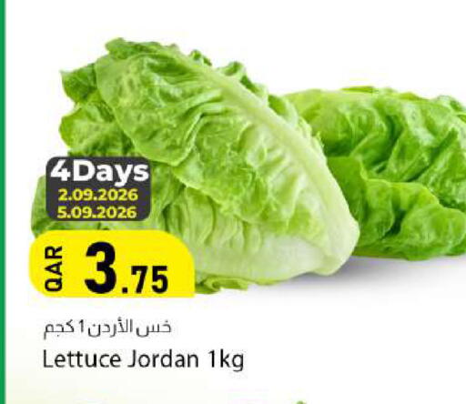 Lettuce from Jordan available at دانا ماركت in قطر - الدوحة