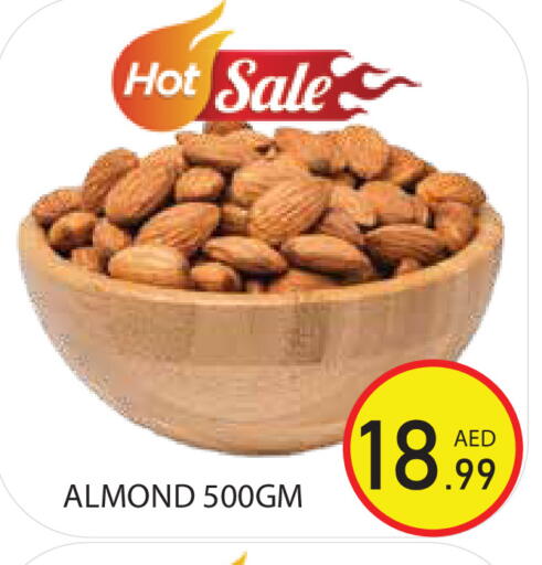 available at Baniyas Spike  in UAE - Sharjah / Ajman