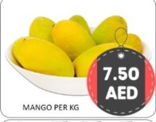 Mango available at GREEN GIFT DEPARTMENT STORE in UAE - Abu Dhabi