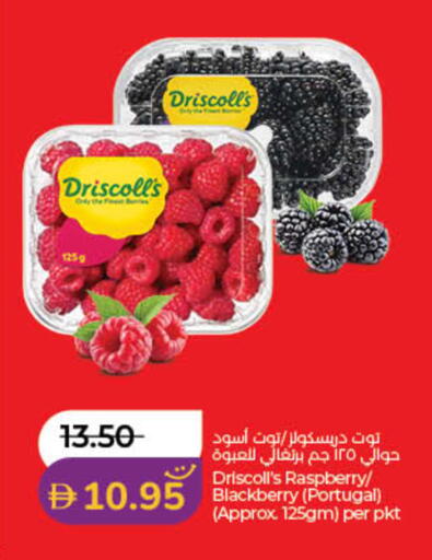 Raspberry Blackberry from Portugal available at Lulu Hypermarket in UAE - Dubai