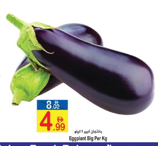 Eggplant available at سن اند ساند هايبر ماركت ذ.م.م in الإمارات العربية المتحدة , الامارات - رَأْس ٱلْخَيْمَة