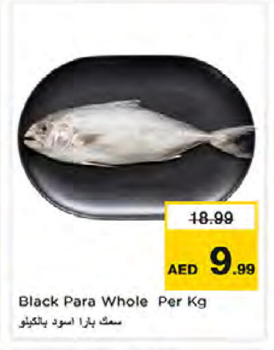 available at نستو هايبرماركت in الإمارات العربية المتحدة , الامارات - دبي
