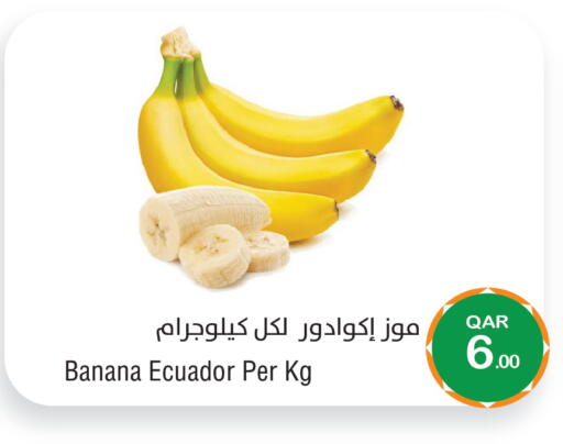 Banana from Ecuador available at ميغا مارت in قطر - الشحانية