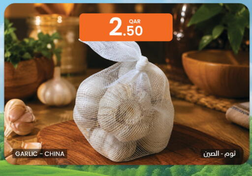 Garlic from China available at Al Baladi Al Yawm in Qatar - Doha