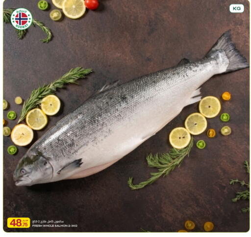 available at شركة الميرة للمواد الاستهلاكية in قطر - أم صلال