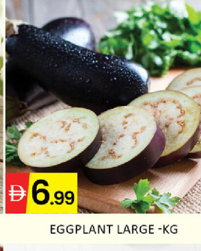 Mango Eggplant available at Mango Hypermarket LLC in UAE - Ras al Khaimah
