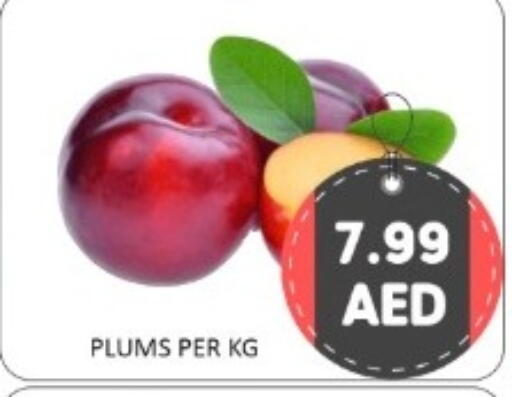 Plums available at GREEN GIFT DEPARTMENT STORE in UAE - Abu Dhabi