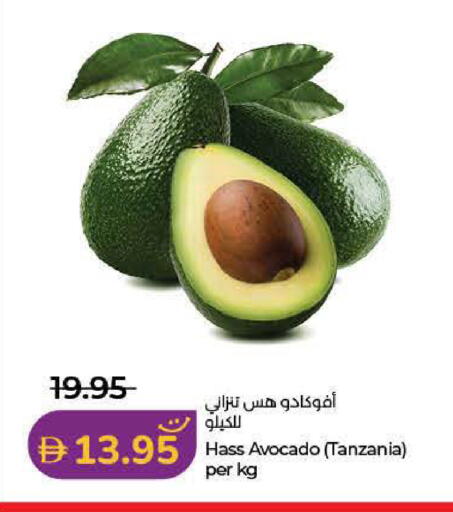 Avocado from Tanzania available at Lulu Hypermarket in UAE - Dubai
