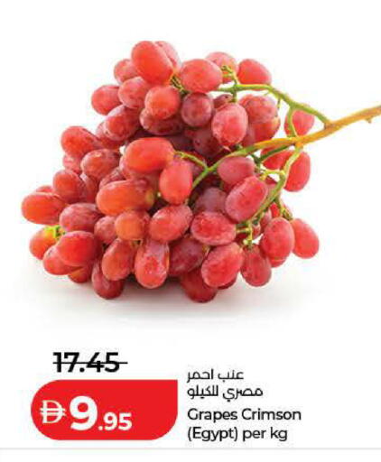Grapes from Egypt available at Lulu Hypermarket in UAE - Dubai