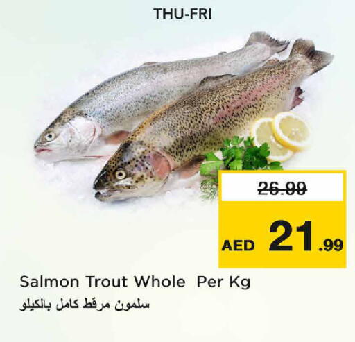 available at نستو هايبرماركت in الإمارات العربية المتحدة , الامارات - دبي