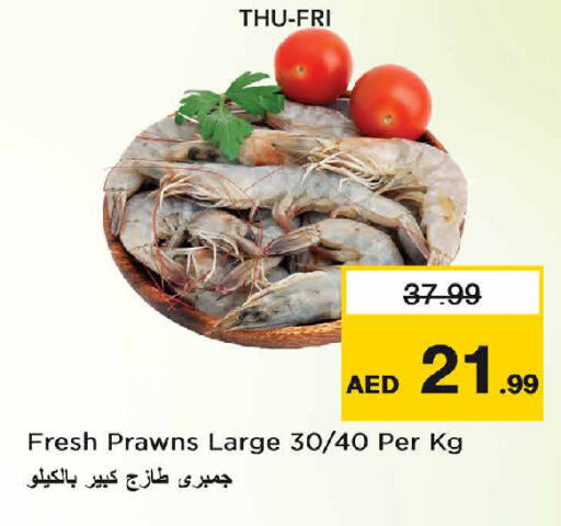 available at نستو هايبرماركت in الإمارات العربية المتحدة , الامارات - دبي
