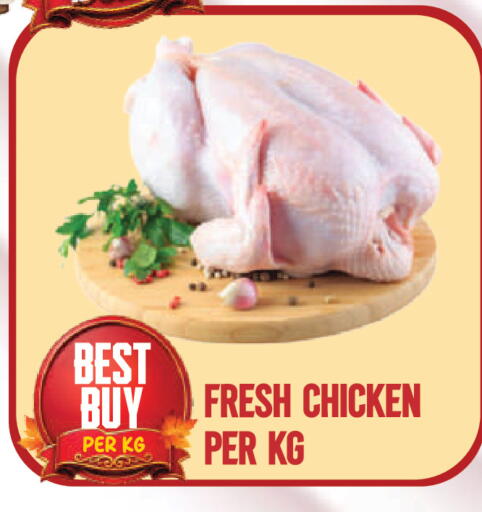 available at دريم لاند in الإمارات العربية المتحدة , الامارات - دبي