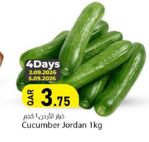Cucumber from Jordan available at دانا ماركت in قطر - الدوحة