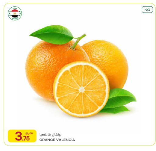 Orange from Egypt available at شركة الميرة للمواد الاستهلاكية in قطر - أم صلال