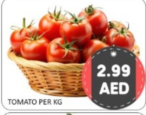 Tomato available at GREEN GIFT DEPARTMENT STORE in UAE - Abu Dhabi