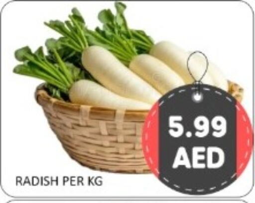 Radish available at GREEN GIFT DEPARTMENT STORE in UAE - Abu Dhabi