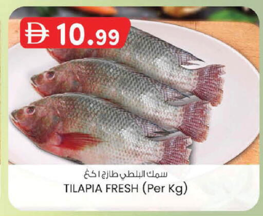 available at K M Trading  in UAE - Abu Dhabi