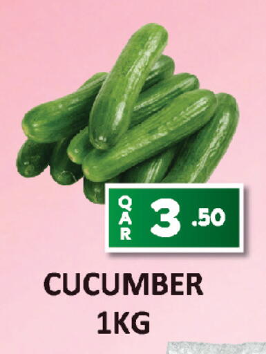 Cucumber available at AL HABARI FOOD STUFF (FS2) in Qatar - Doha