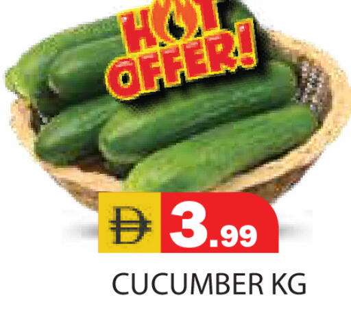 Cucumber available at Baniyas Spike  in UAE - Sharjah / Ajman